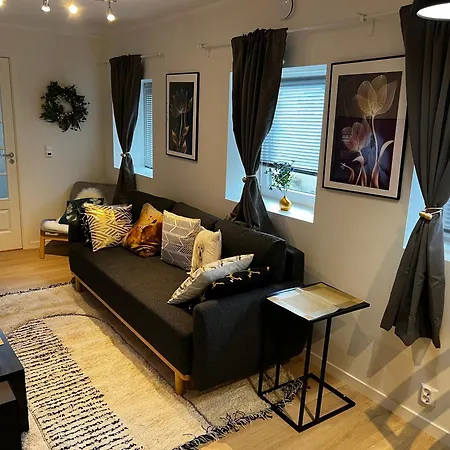 Lagunen With Terrace, Grill And Free Parking Apartment Bergen